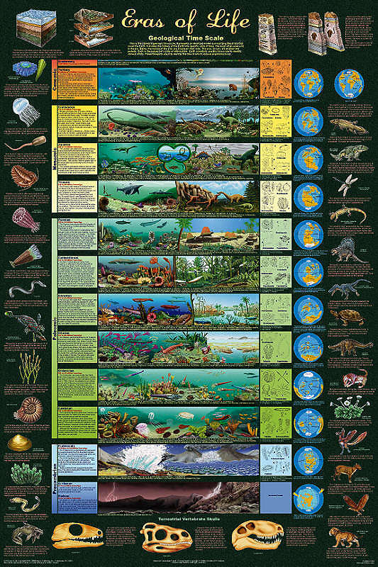 Geological Time Scale Poster